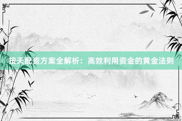 按天配资方案全解析：高效利用资金的黄金法则