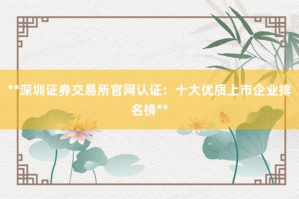 **深圳证券交易所官网认证：十大优质上市企业排名榜**