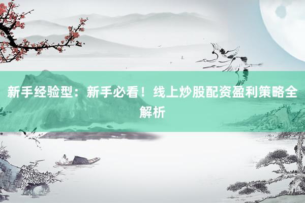 新手经验型：新手必看！线上炒股配资盈利策略全解析