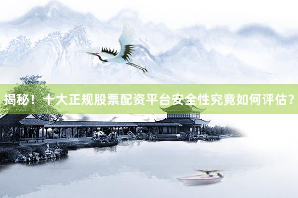 揭秘！十大正规股票配资平台安全性究竟如何评估？