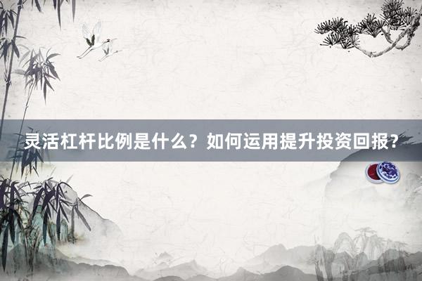 灵活杠杆比例是什么？如何运用提升投资回报？