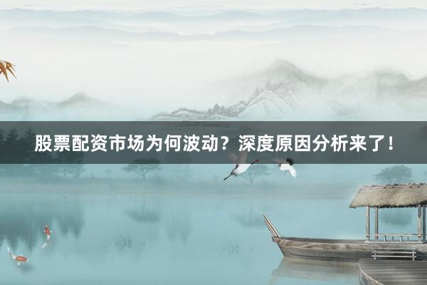 股票配资市场为何波动？深度原因分析来了！