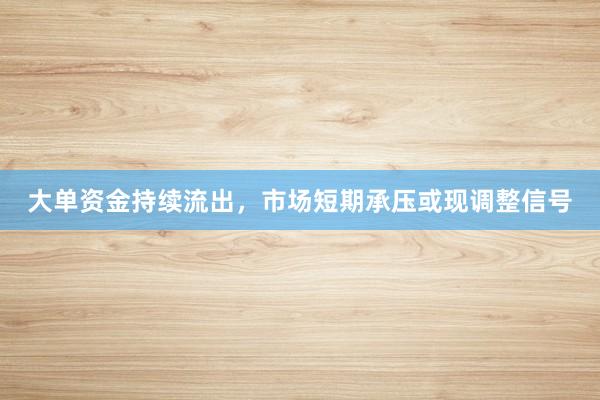 大单资金持续流出，市场短期承压或现调整信号
