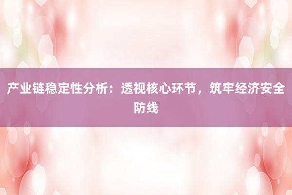 产业链稳定性分析：透视核心环节，筑牢经济安全防线