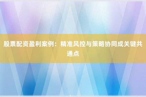 股票配资盈利案例：精准风控与策略协同成关键共通点