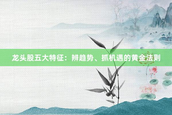 龙头股五大特征：辨趋势、抓机遇的黄金法则