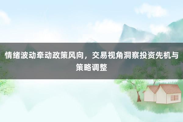 情绪波动牵动政策风向，交易视角洞察投资先机与策略调整