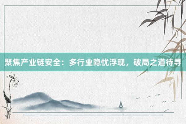 聚焦产业链安全：多行业隐忧浮现，破局之道待寻
