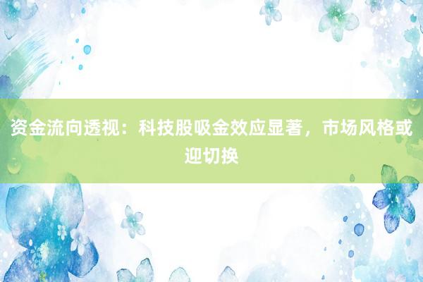 资金流向透视：科技股吸金效应显著，市场风格或迎切换