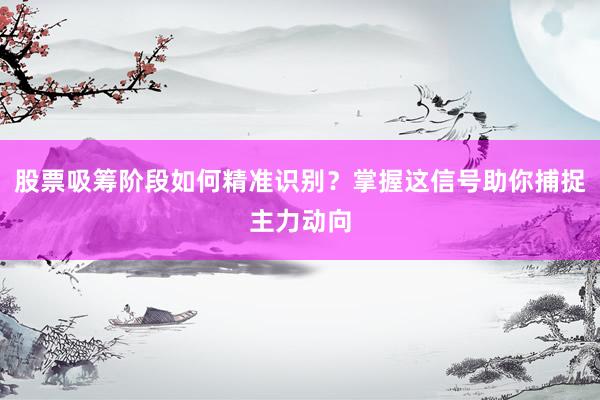 股票吸筹阶段如何精准识别？掌握这信号助你捕捉主力动向