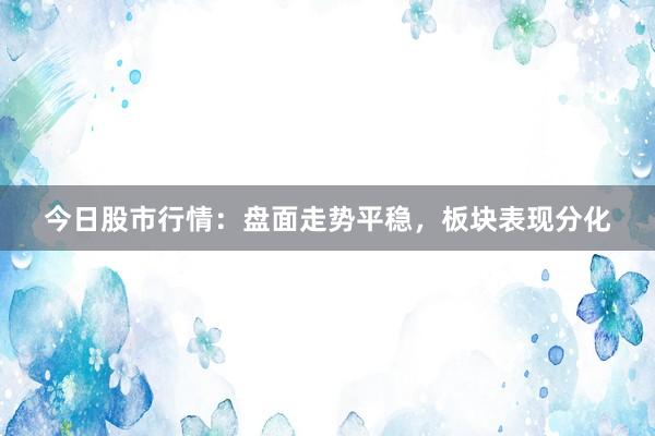 今日股市行情：盘面走势平稳，板块表现分化