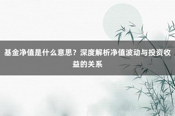 基金净值是什么意思？深度解析净值波动与投资收益的关系