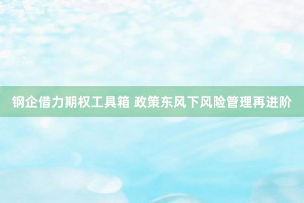 钢企借力期权工具箱 政策东风下风险管理再进阶