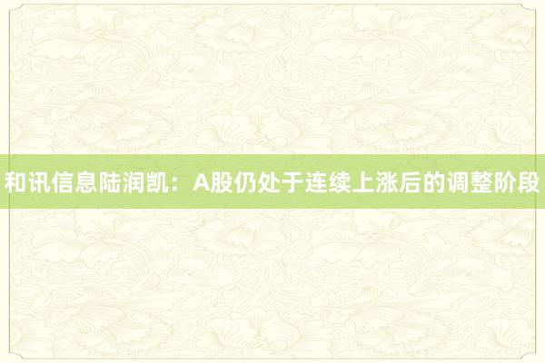 和讯信息陆润凯:A股仍处于连续上涨后的调整阶段