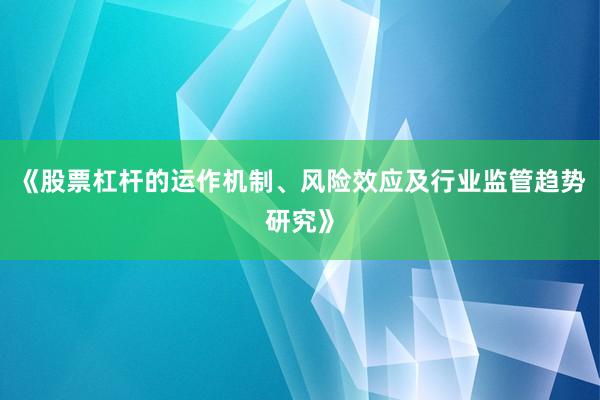 《股票杠杆的运作机制、风险效应及行业监管趋势研究》