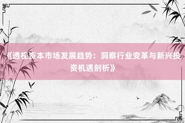 《透视资本市场发展趋势：洞察行业变革与新兴投资机遇剖析》